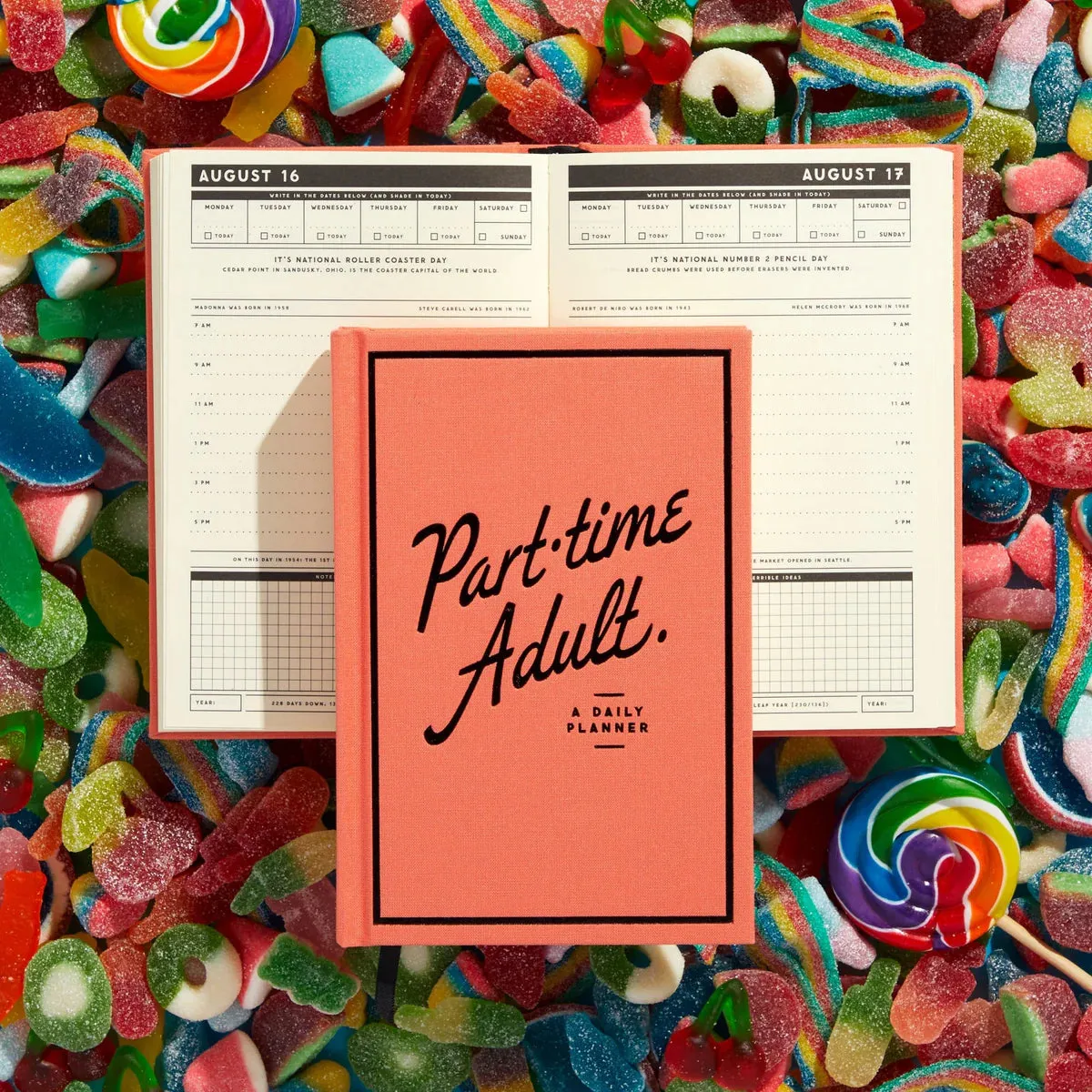 Part-Time Adult Undated Daily Planner thin
