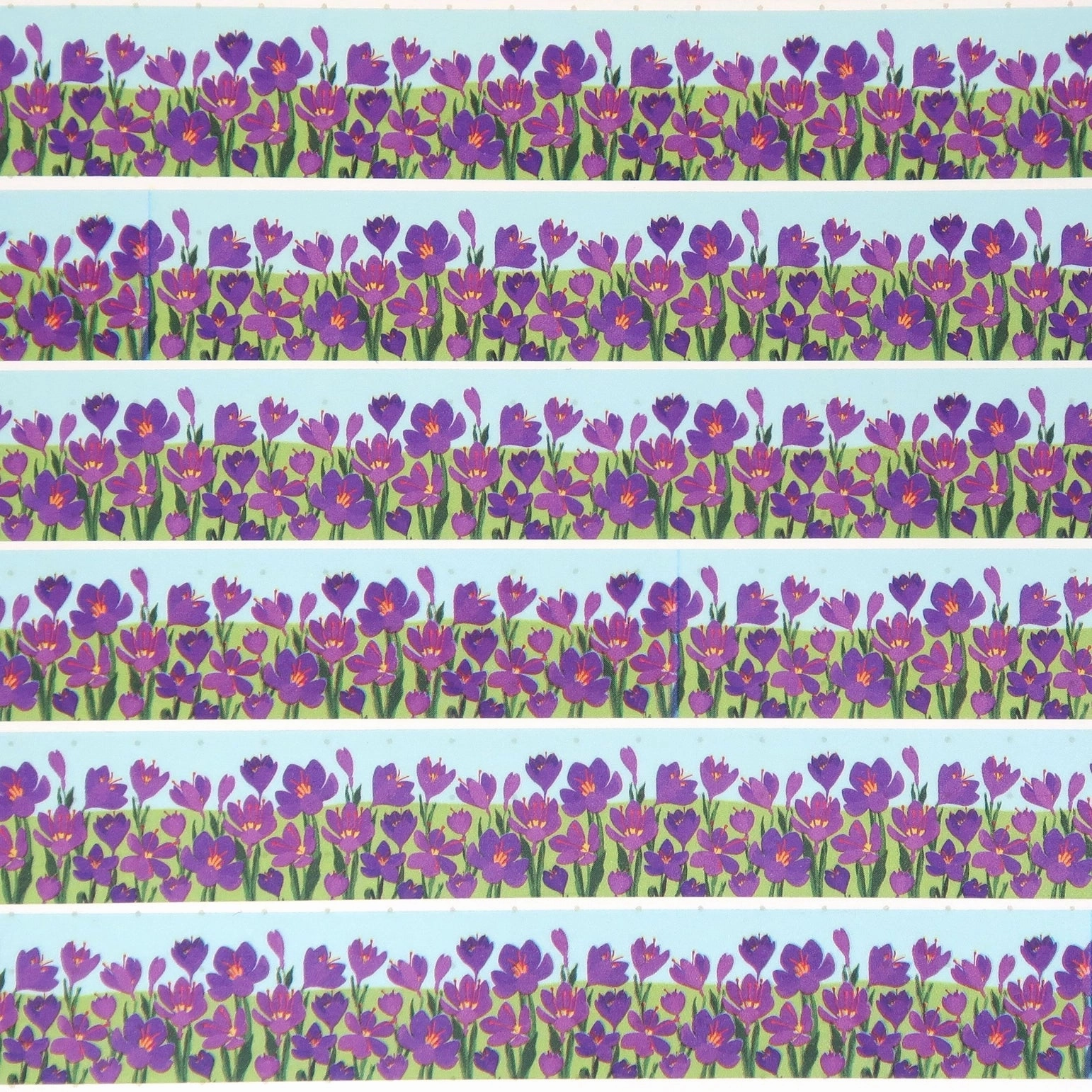 Crocus Border Washi Tape steel bulk