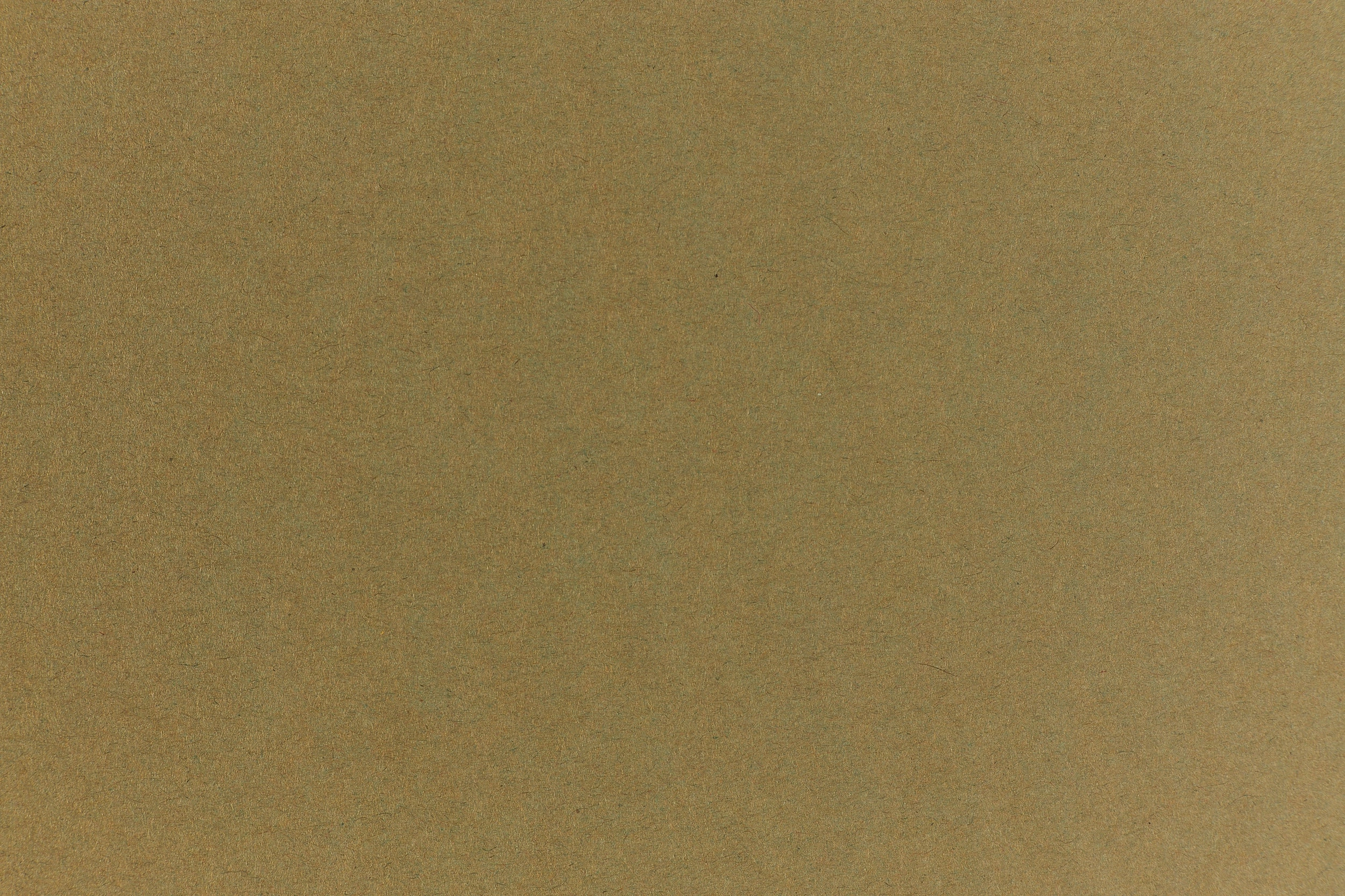 locking Olive Cardstock (Hemptone, Cover Weight)