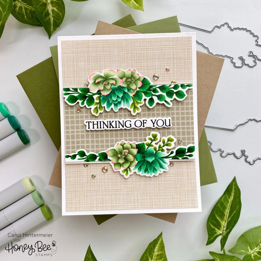 deluxe On The Line: Succulents - 5X6 Stamp Set - Retiring