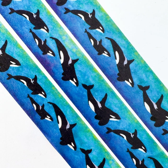 Orca Killer Whale Washi Tape classic