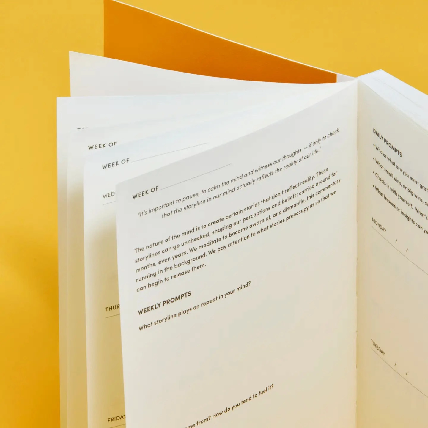 expandable Love Your Mind Headspace Wellness Journal