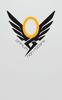 Overwatch: Pocket Notebook Collection (Set Of 3) pastel essential