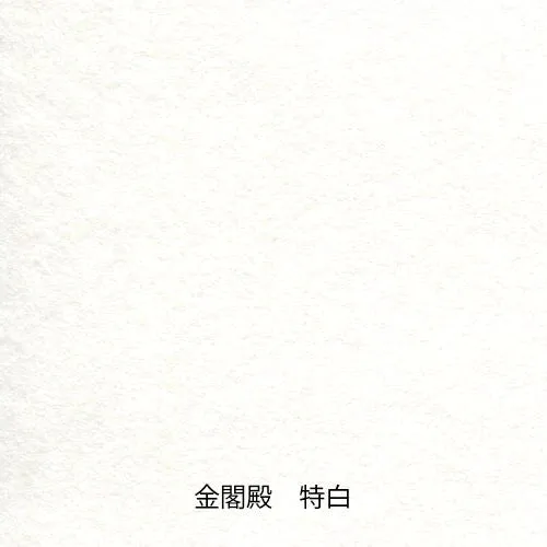 Paper Tasting Japanese Translational Paper Washi Vol.2 lasting