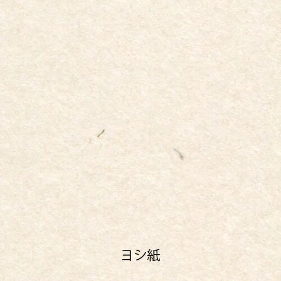 new bright Paper Tasting Japanese Translational Paper Washi Vol.2