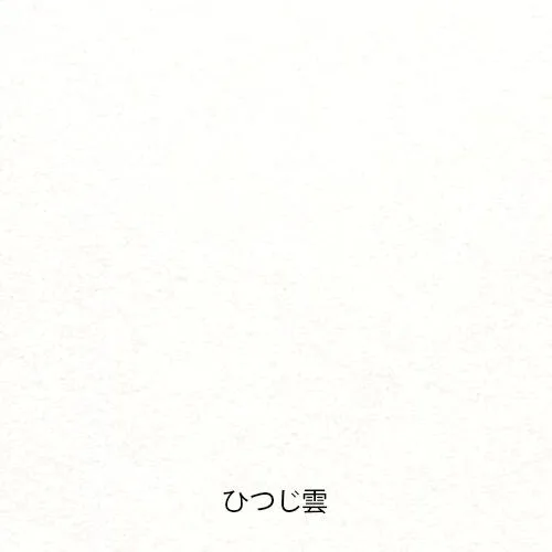Paper Tasting Japanese Translational Paper Washi Vol.2 metal latest