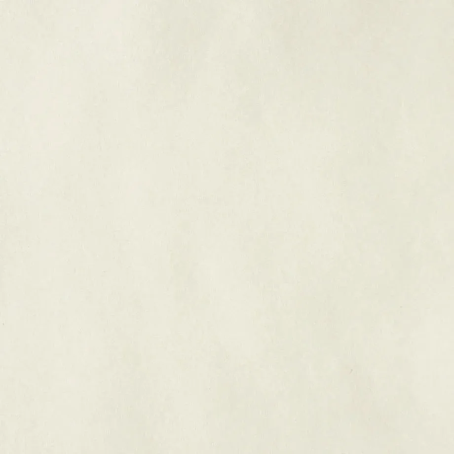 fiber Paper Tasting Translucent Vol.1
