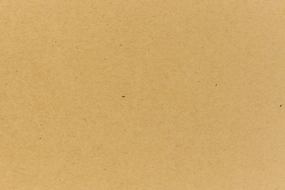 Paper Bag Kraft Envelope (Kraft-Tone) biodegradable