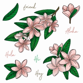 Paradise Plumerias - 6X6 Stamp Set heatproof neutral