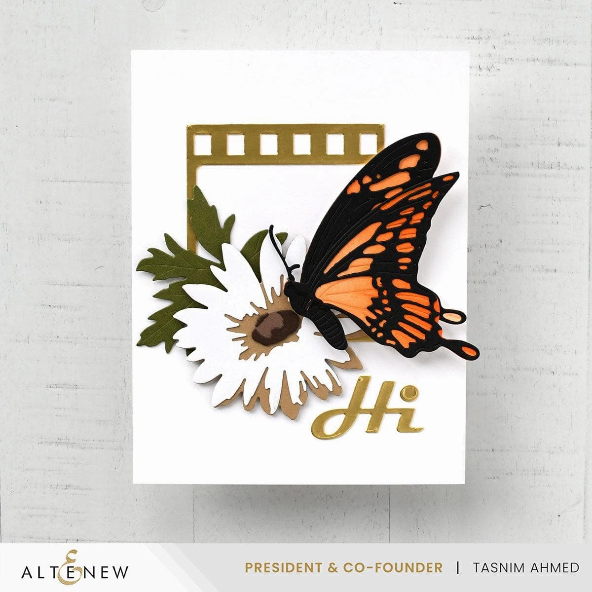magnetic Picture Perfect Die Set