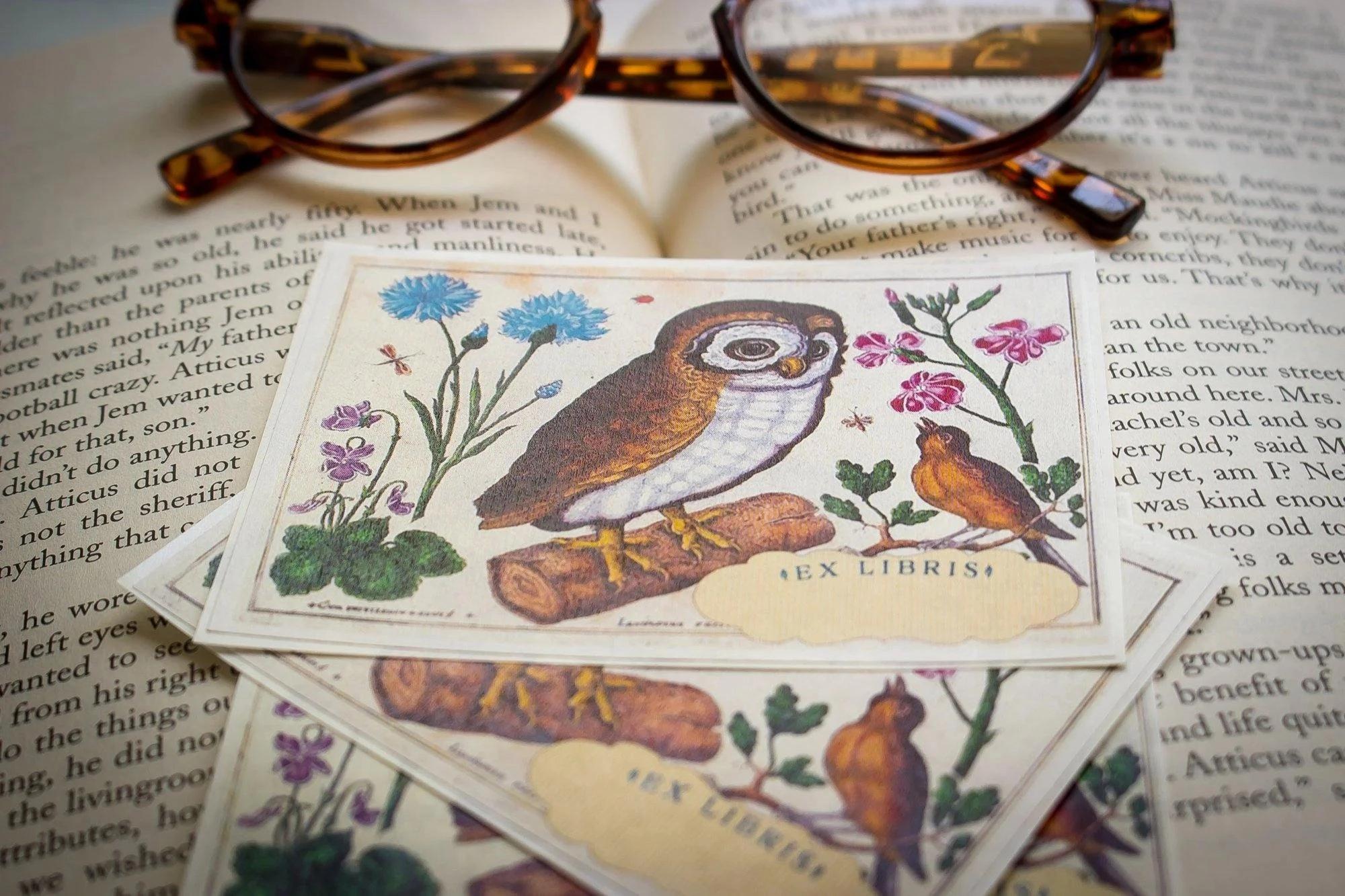 eco superior Botanical Owl Bookplate Sticker