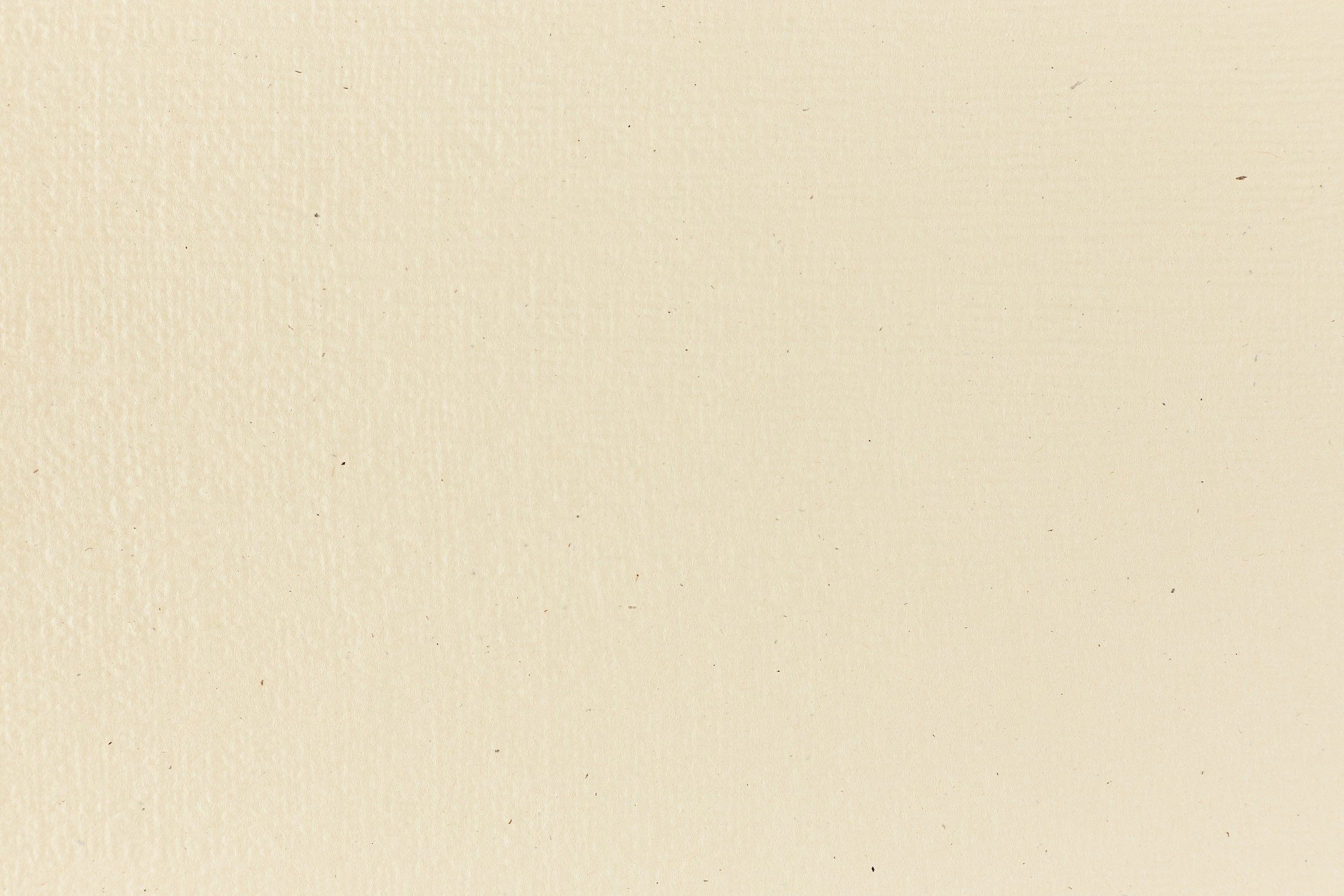 Cream Cordtone Cardstock (Speckletone, Cover Weight) multipurpose steel