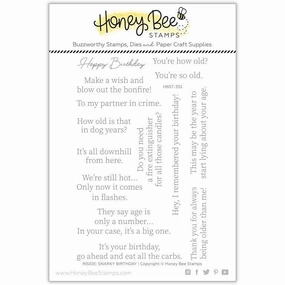 Inside: Snarky Birthday Sentiments - 4X6 Stamp Set leather retractable