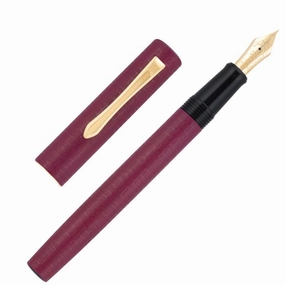 Pilot Ishime Burgundy Fountain Pen plastic narrow