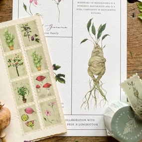 single classic Magical Botanical Herbology Stamp Washi Tape