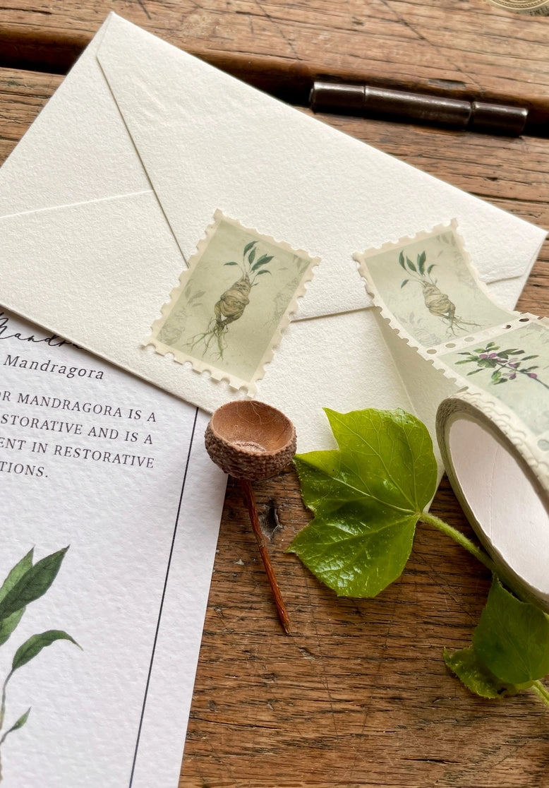 Magical Botanical Herbology Stamp Washi Tape manual