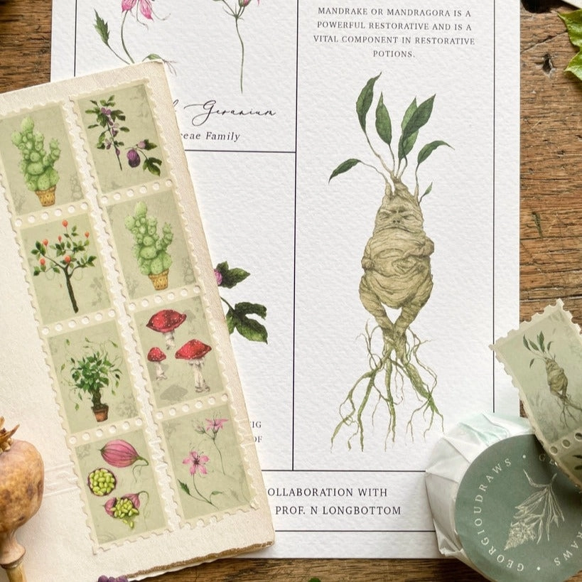 single classic Magical Botanical Herbology Stamp Washi Tape