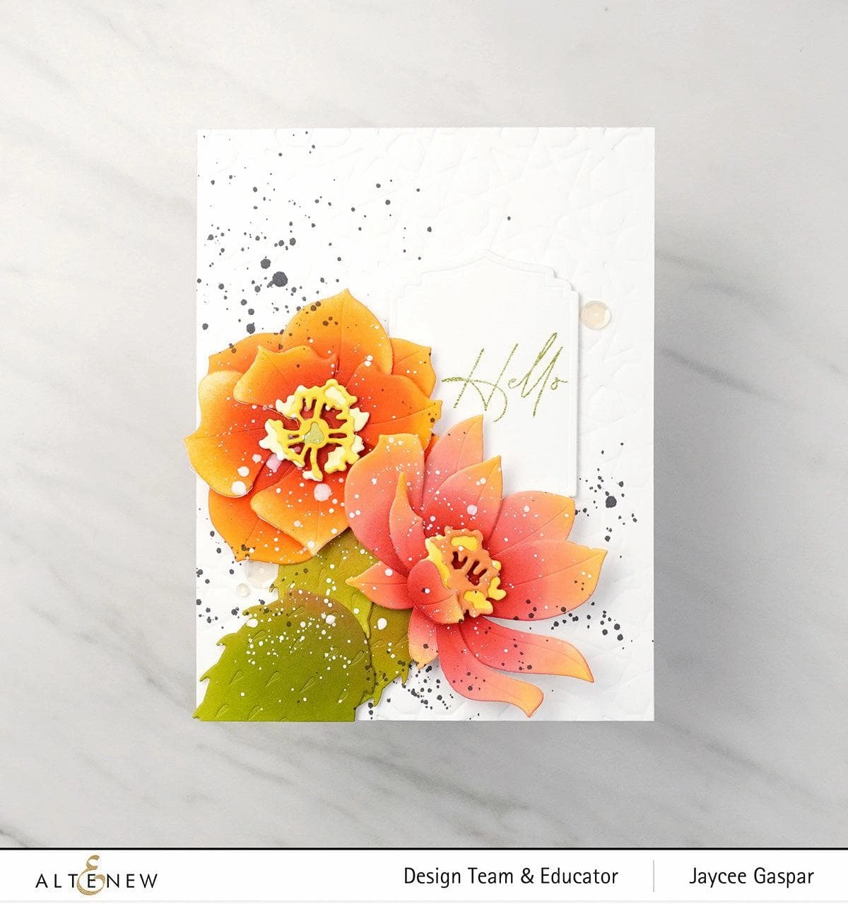 deluxe vivid Prickly Pear Die Set