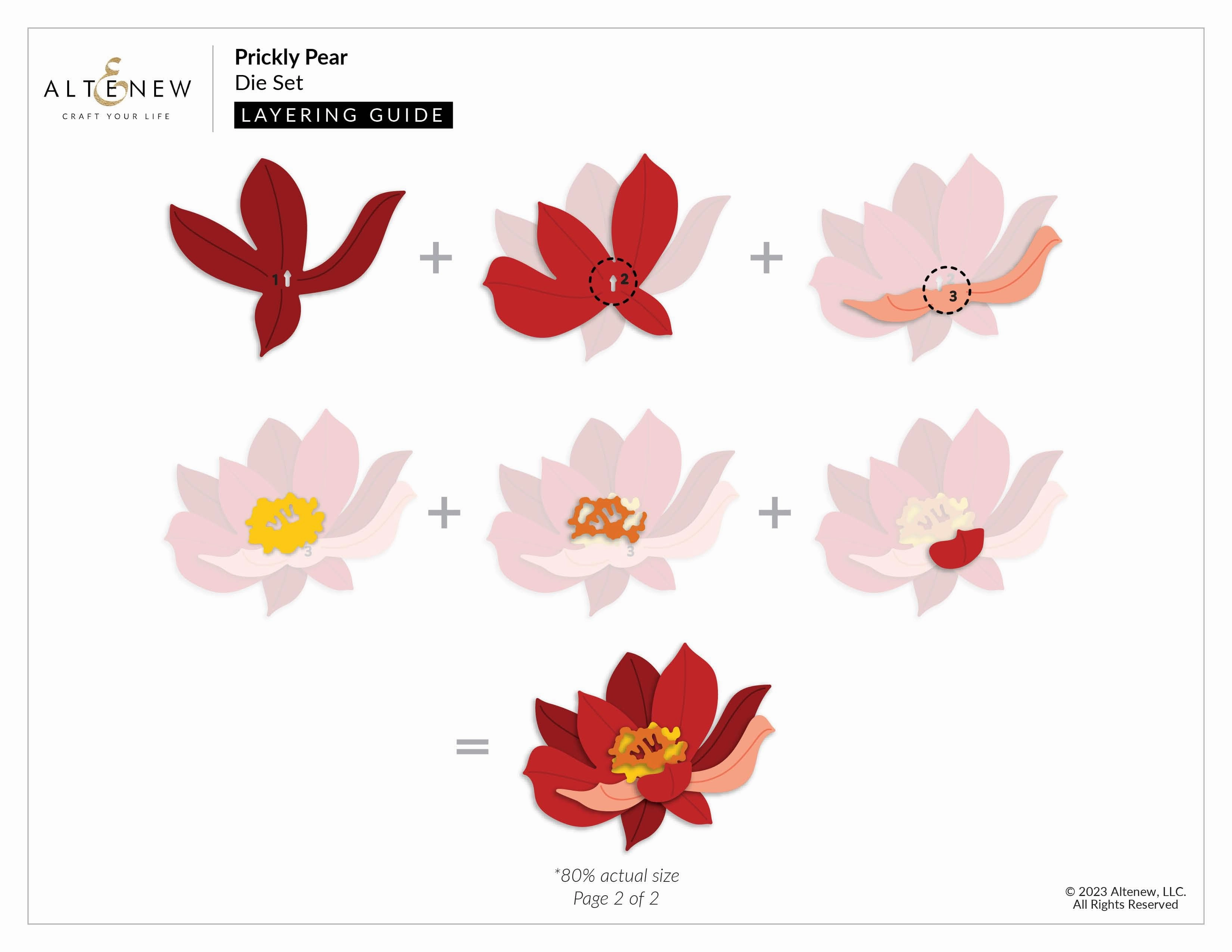 set Prickly Pear Die Set
