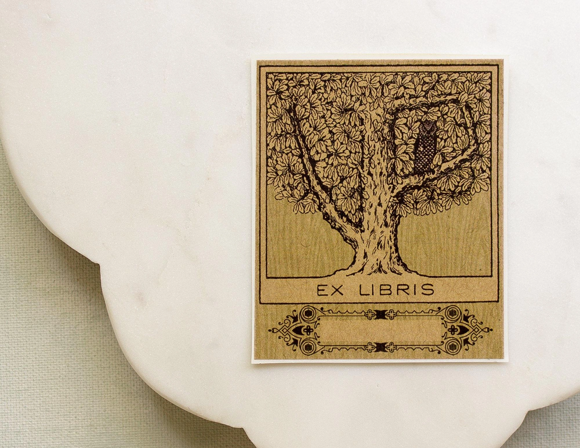 reliable trendy Owl In Tree Bookplate Sticker