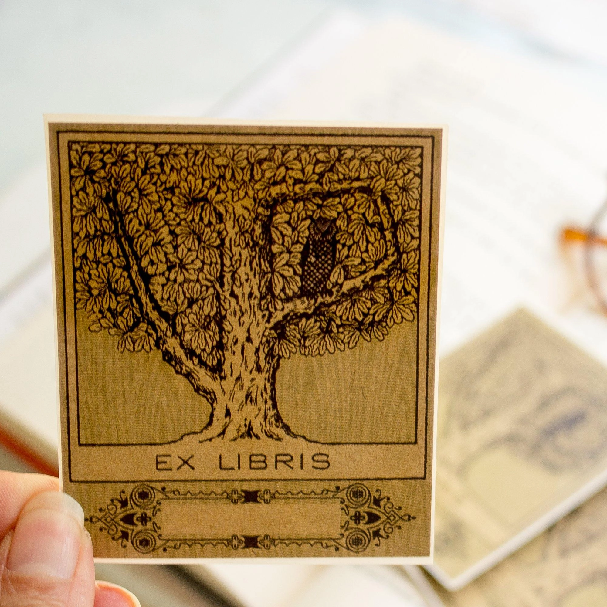 automatic warm Owl In Tree Bookplate Sticker