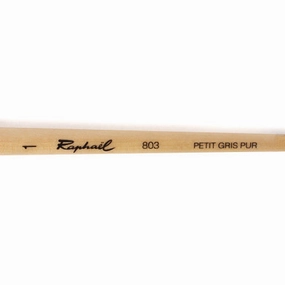 Rapha?L Paintbrush For Watercolours sealed resin