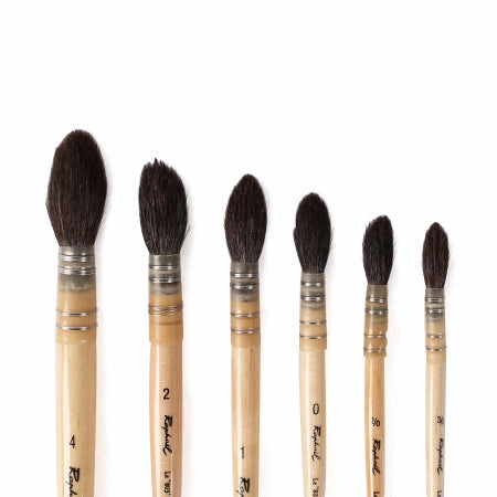cool glossy Rapha?L Paintbrush For Watercolours