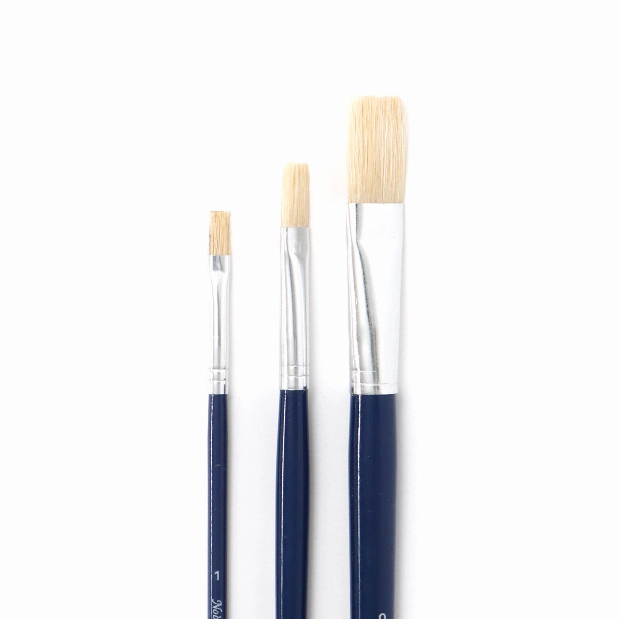 collapsible Long Handle Hog Brush Set - Flat, 12 Pieces