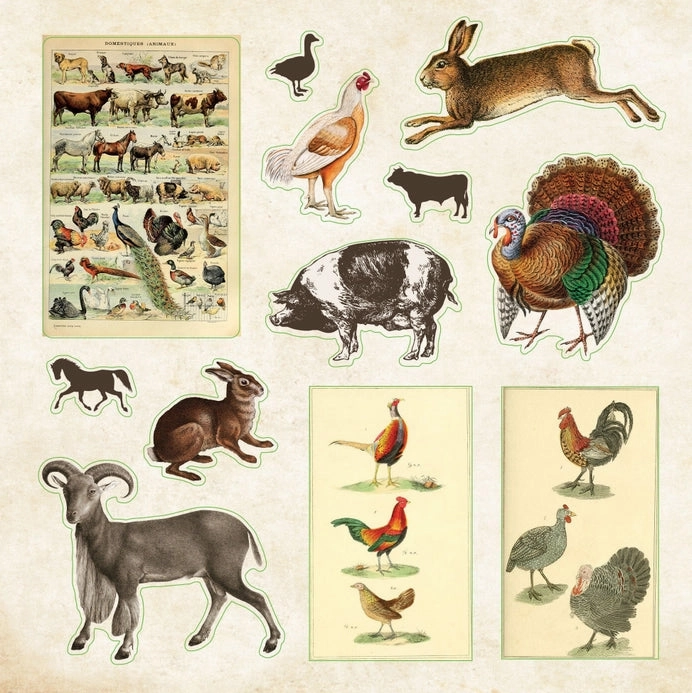 small flat Zoological Ephemera Sticker Book (680  Stickers)