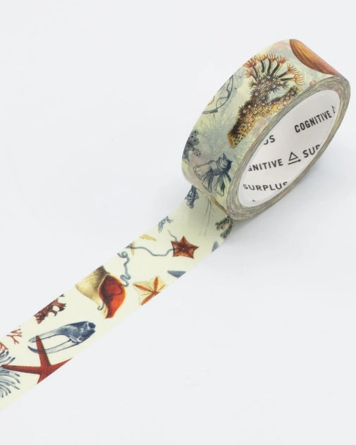 affordable Sea Shore Washi Tape