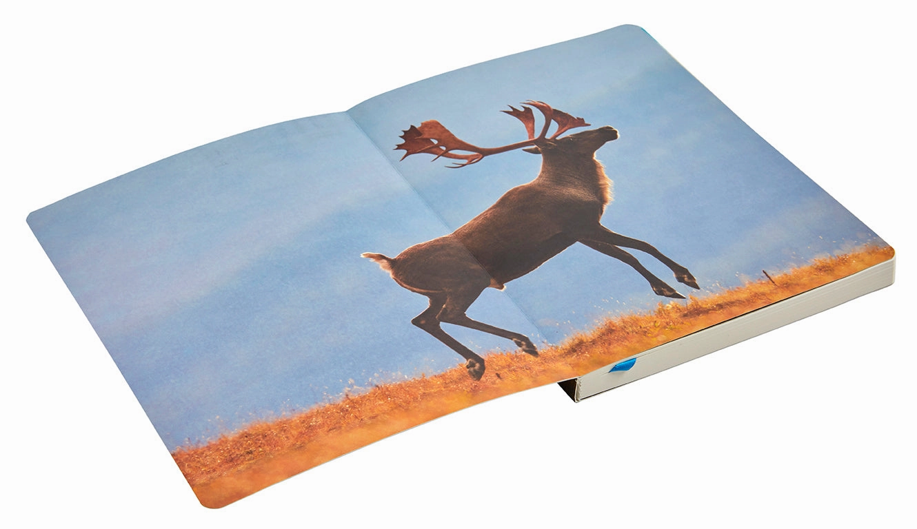 exclusive recycled Refuge: Arctic River Softcover Notebook