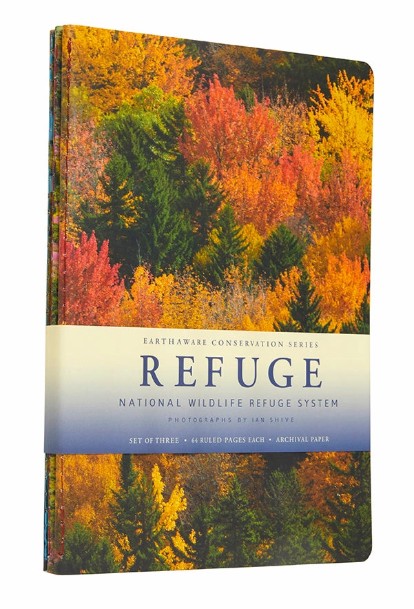bronze Refuge Sewn Notebook Collection (Set Of 3)