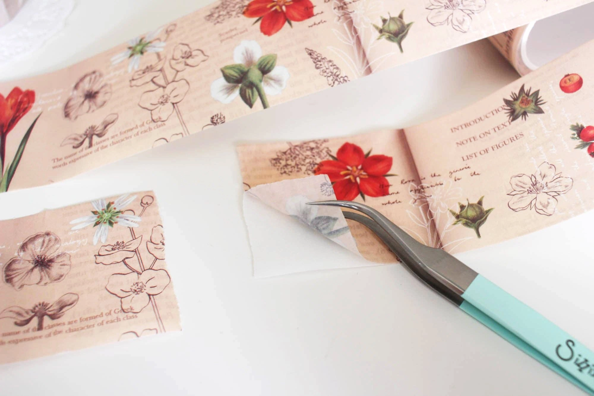 An Illustrated Guide Washi Tape round