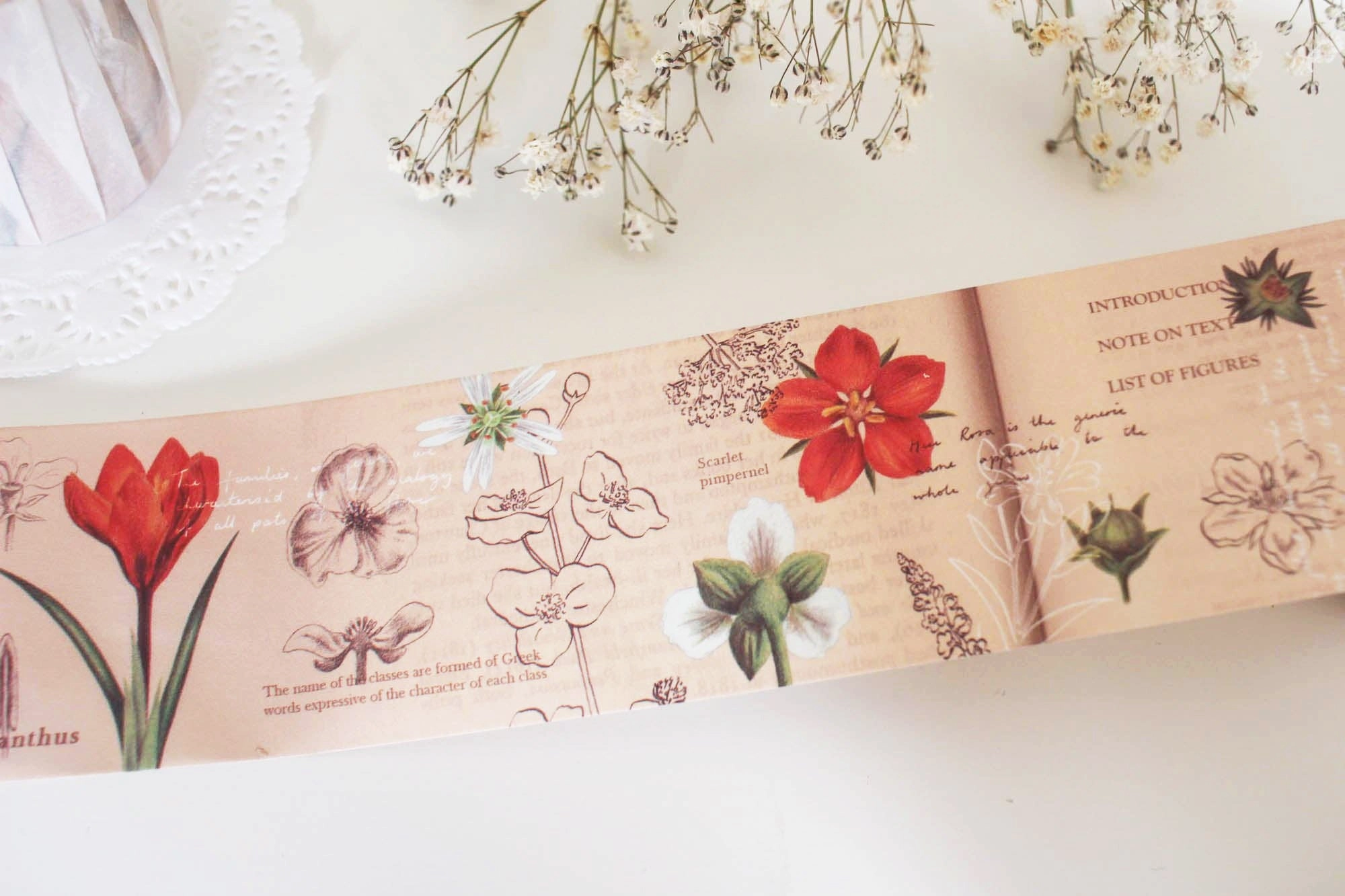 slim An Illustrated Guide Washi Tape