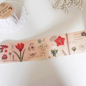 An Illustrated Guide Washi Tape pack
