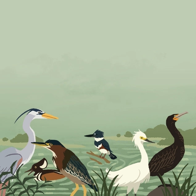 premium River Birds Memo Pad