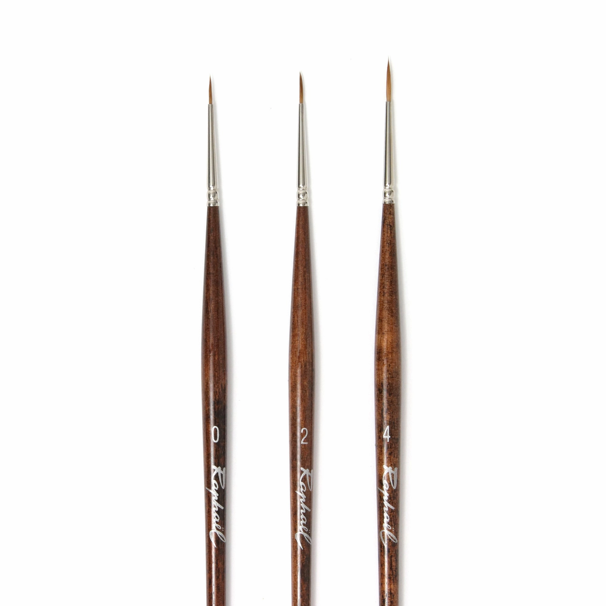 earthy resilient Round Fresco Paintbrush