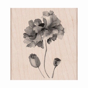 Petals Of Beauty Stamp wide