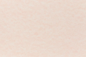 Salmon Cardstock (Parchtone, Cover Weight) flat