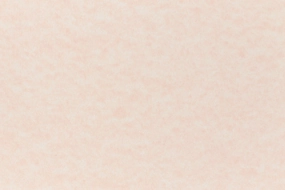 set solid Salmon Envelope (Parchtone)