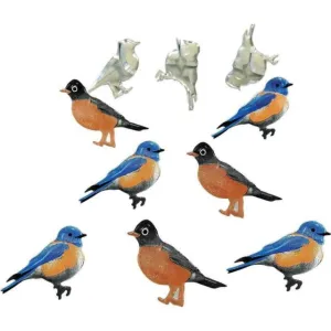 kit Bird  Brads 12  Pieces