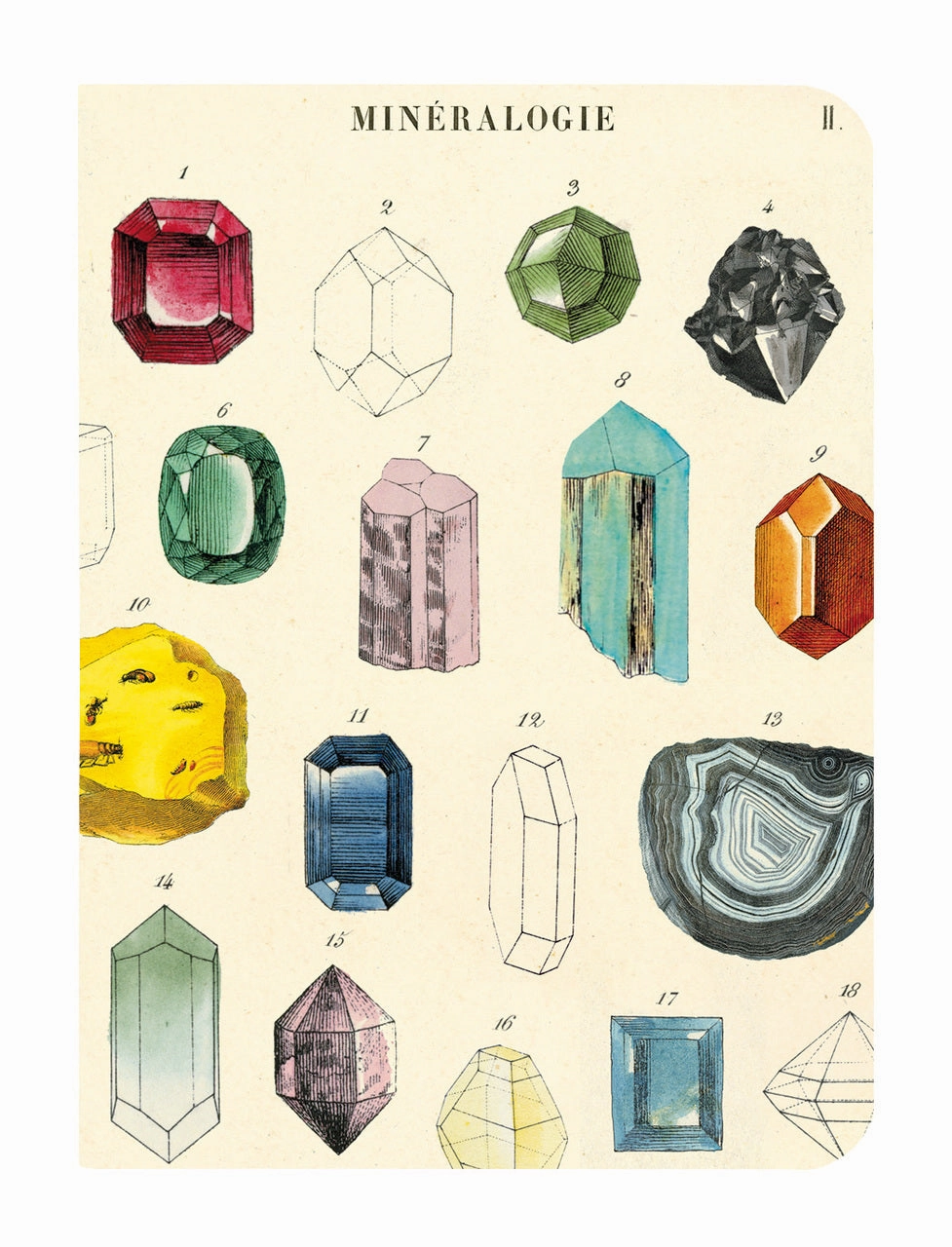 classic Cavallini & Co. Minerology Mini Notebook Set