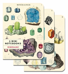 Cavallini & Co. Minerology Mini Notebook Set quickdry tiny