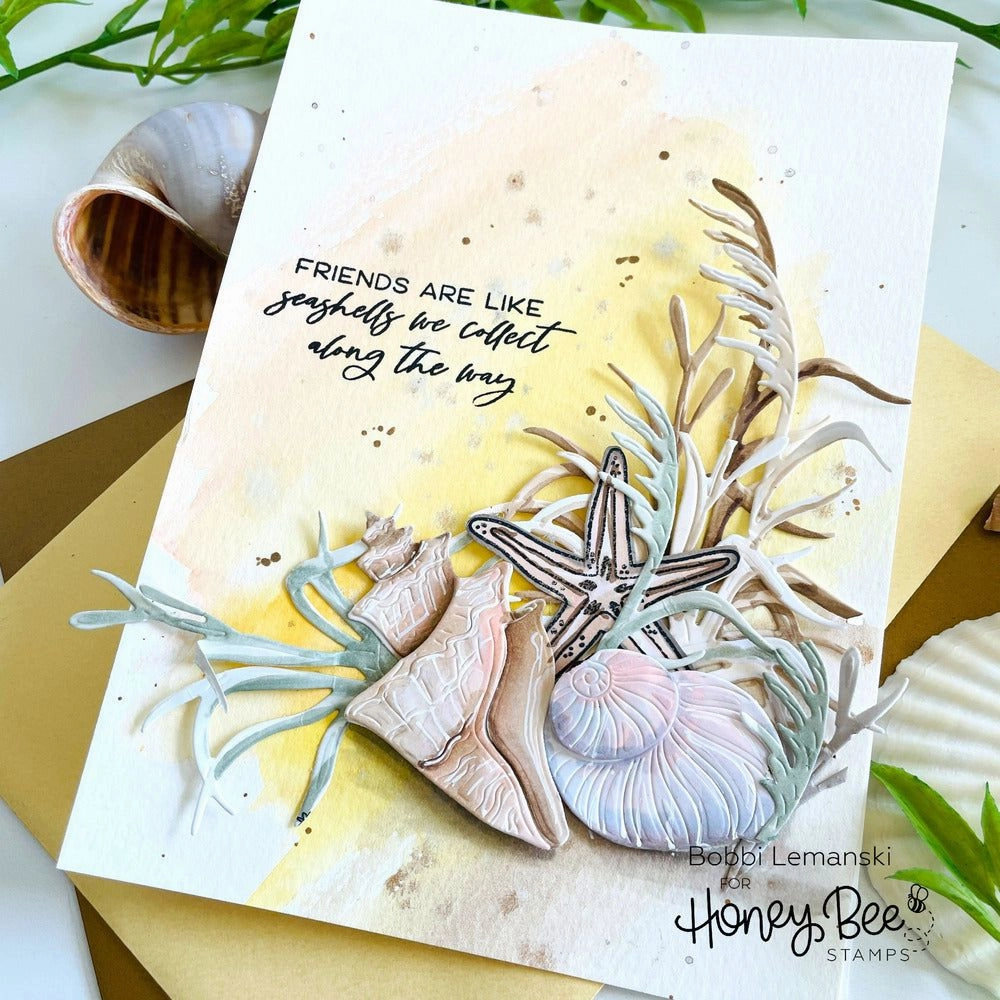 Seashells - 6X8 Stamp Set sturdy modern