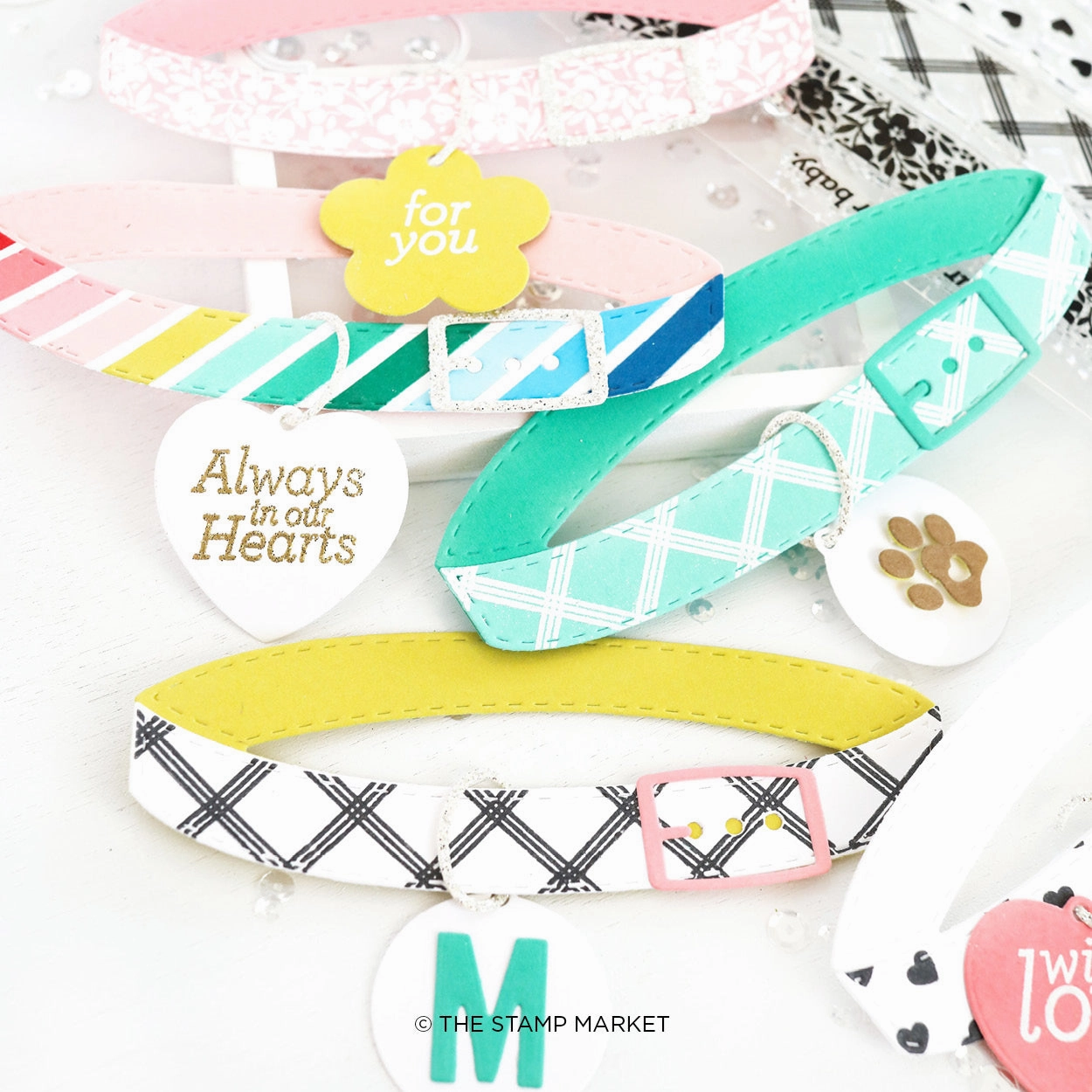 compact For Your Furry Friend