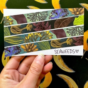 Seaweeds Washi Tape set