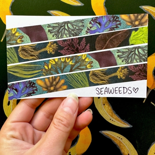 Seaweeds Washi Tape set