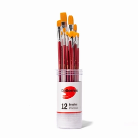 collapsible boxed Set Of 12 Deserres Paintbrushes