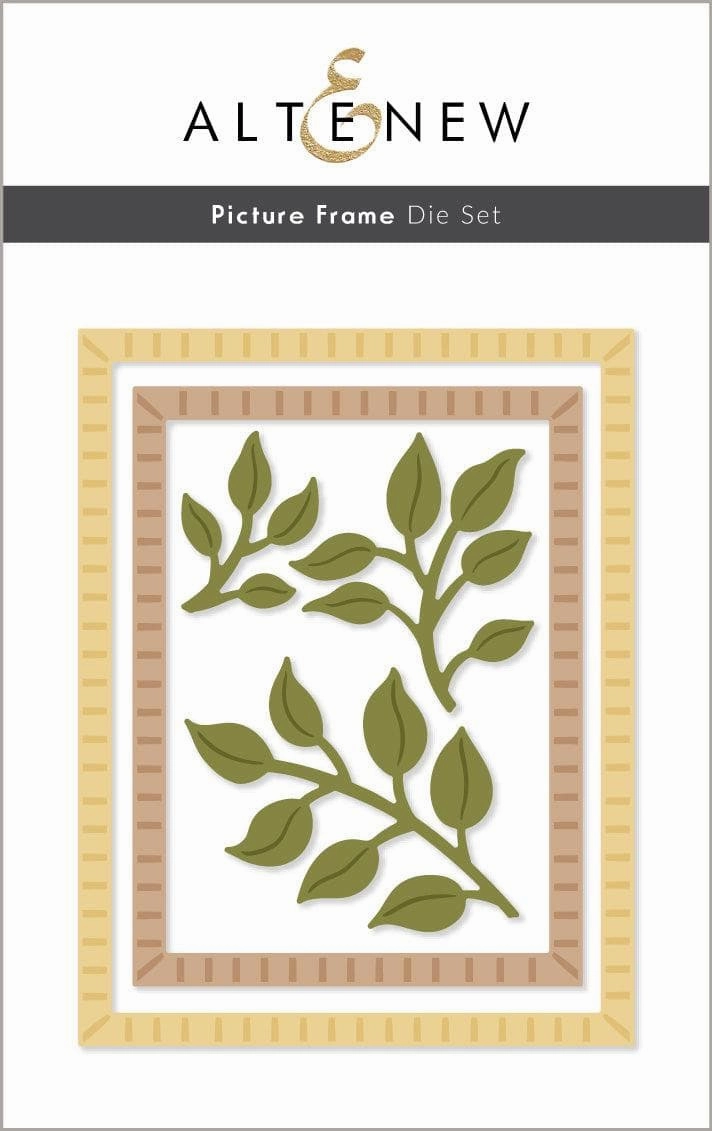 vintage classic Picture Frame Die Set