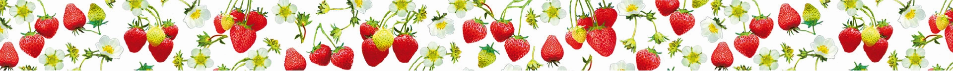 Mt Ex Washi Tape - Strawberry alloy